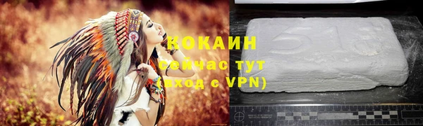 соль ск Арсеньев
