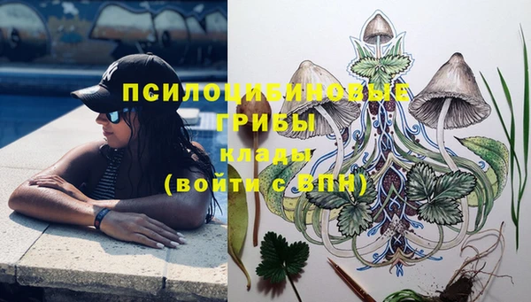 соль ск Арсеньев