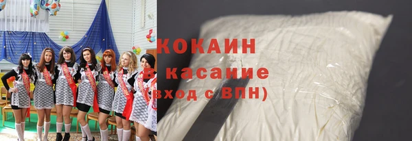 соль ск Арсеньев