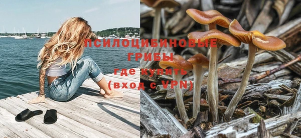 ПСИЛОЦИБИНОВЫЕ ГРИБЫ Аркадак