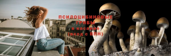 соль ск Арсеньев