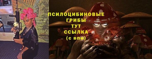 соль ск Арсеньев