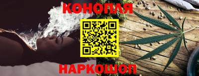 apvp Краснодар
