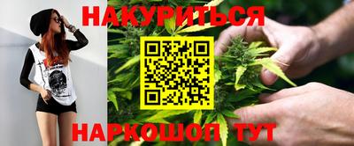 apvp Краснодар