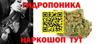 стаф Краснокаменск