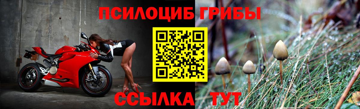 Псилоцибиновые грибы мухоморы Елабуга